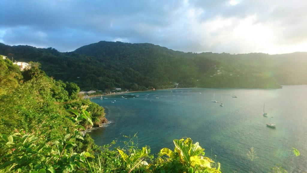 view from the top at tobago charlotteville 