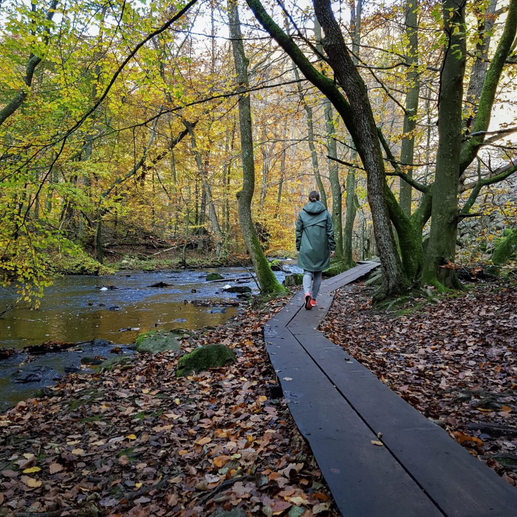 Söderasen National Park Malmö 