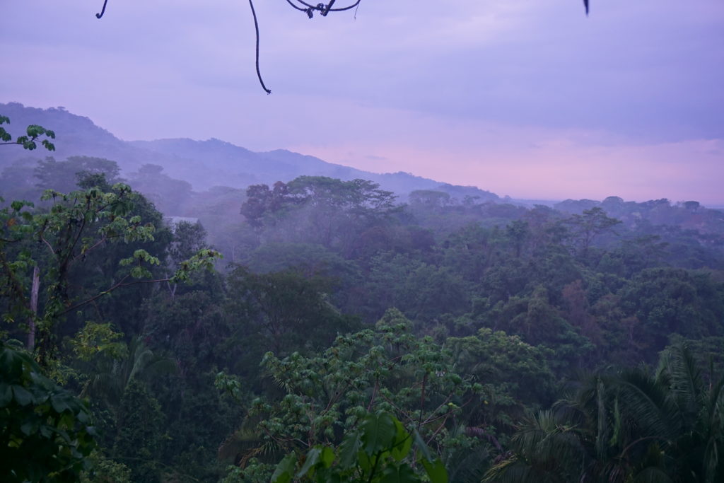 Costa Rica uitzicht jungle