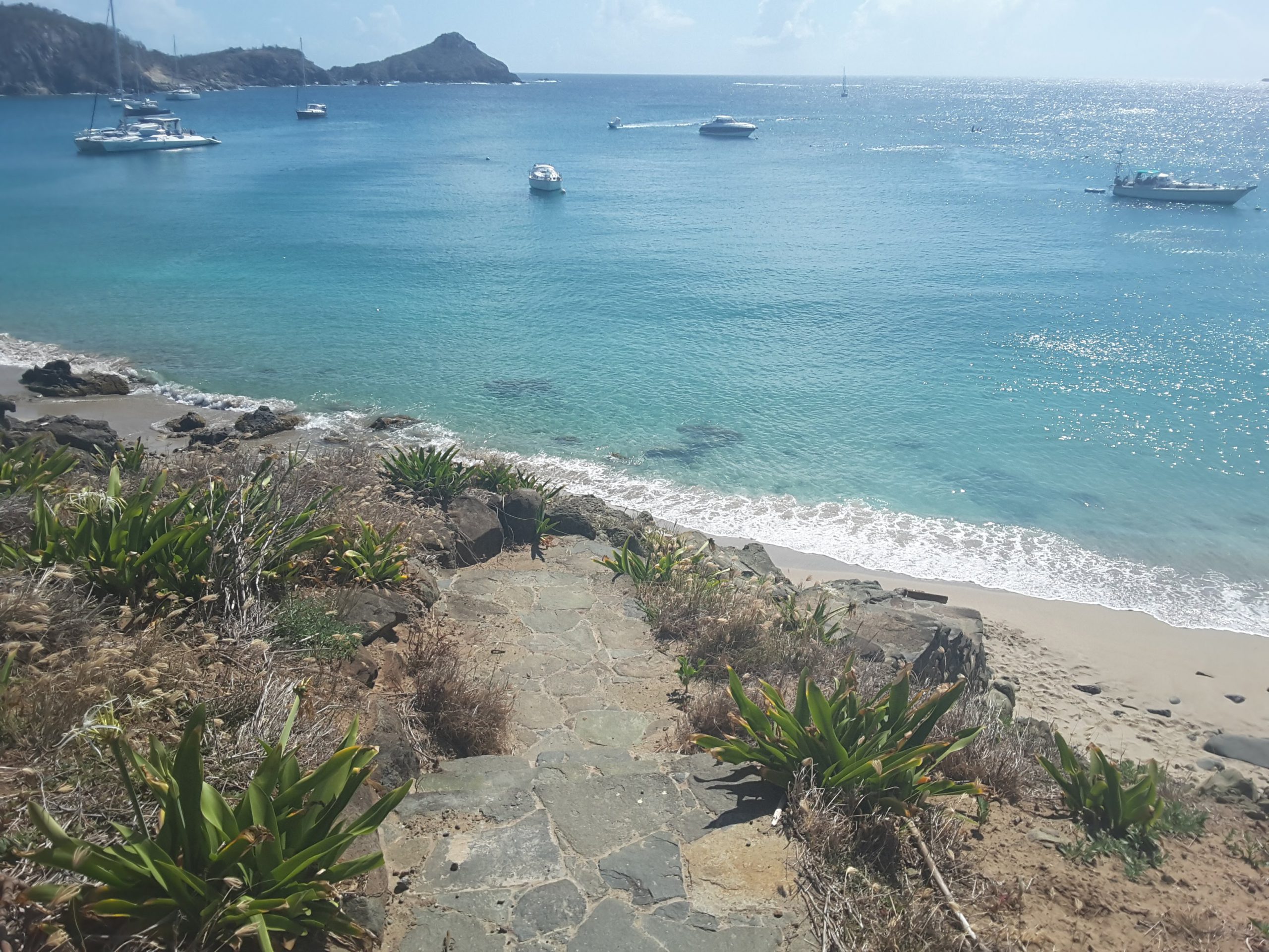 the beach of anse colombier st. barths stranden