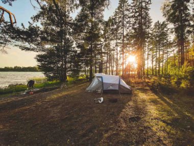 Wildkamperen in Zweden